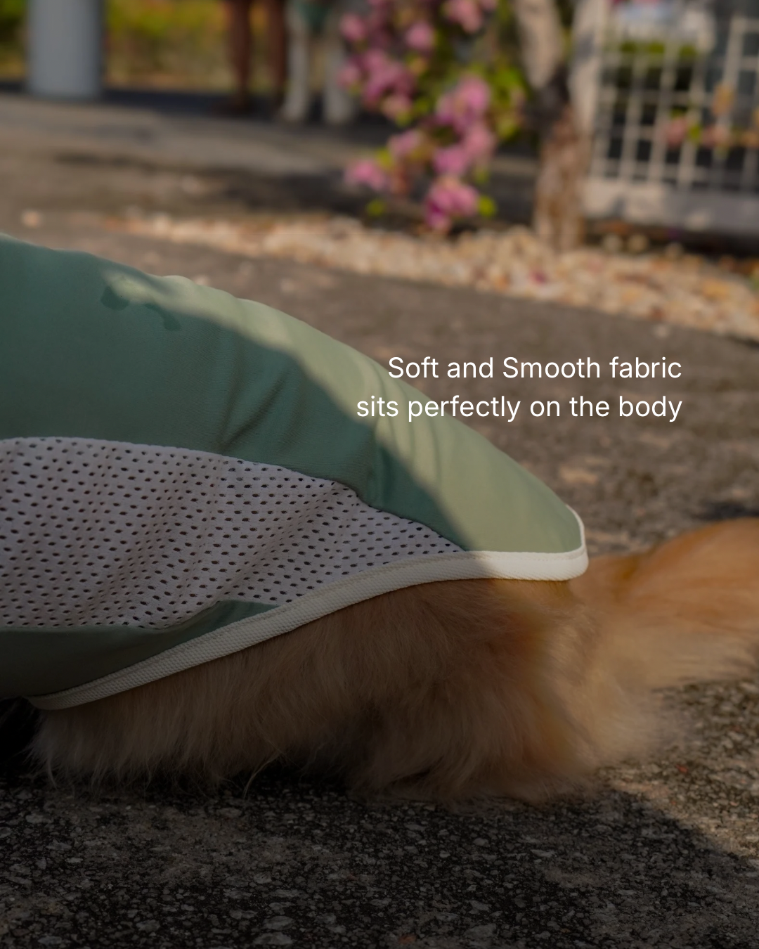 Baby Pink Cooling singlet for dogs and cats
