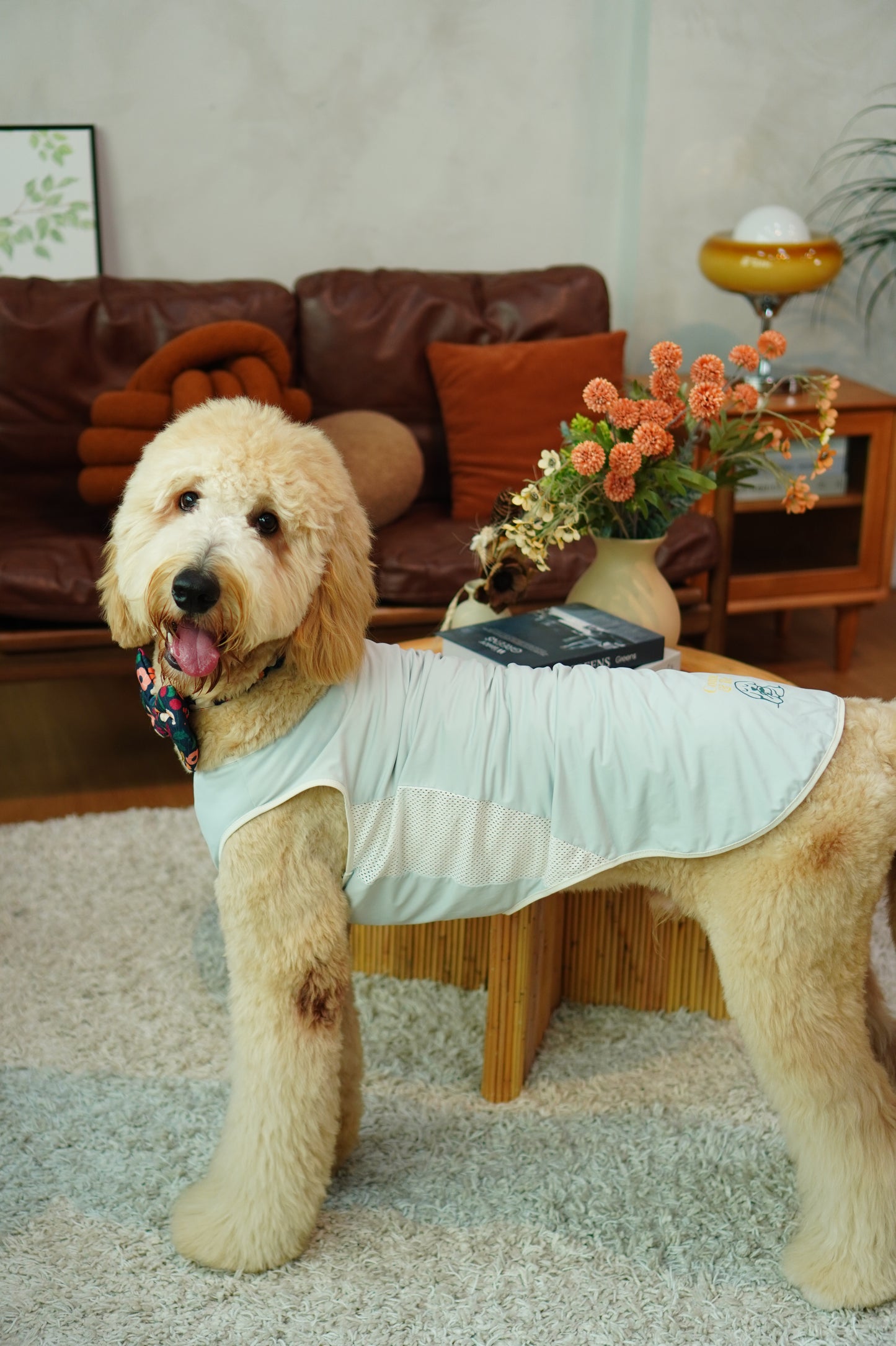 Blue cooling summer singlet for dogs and cats