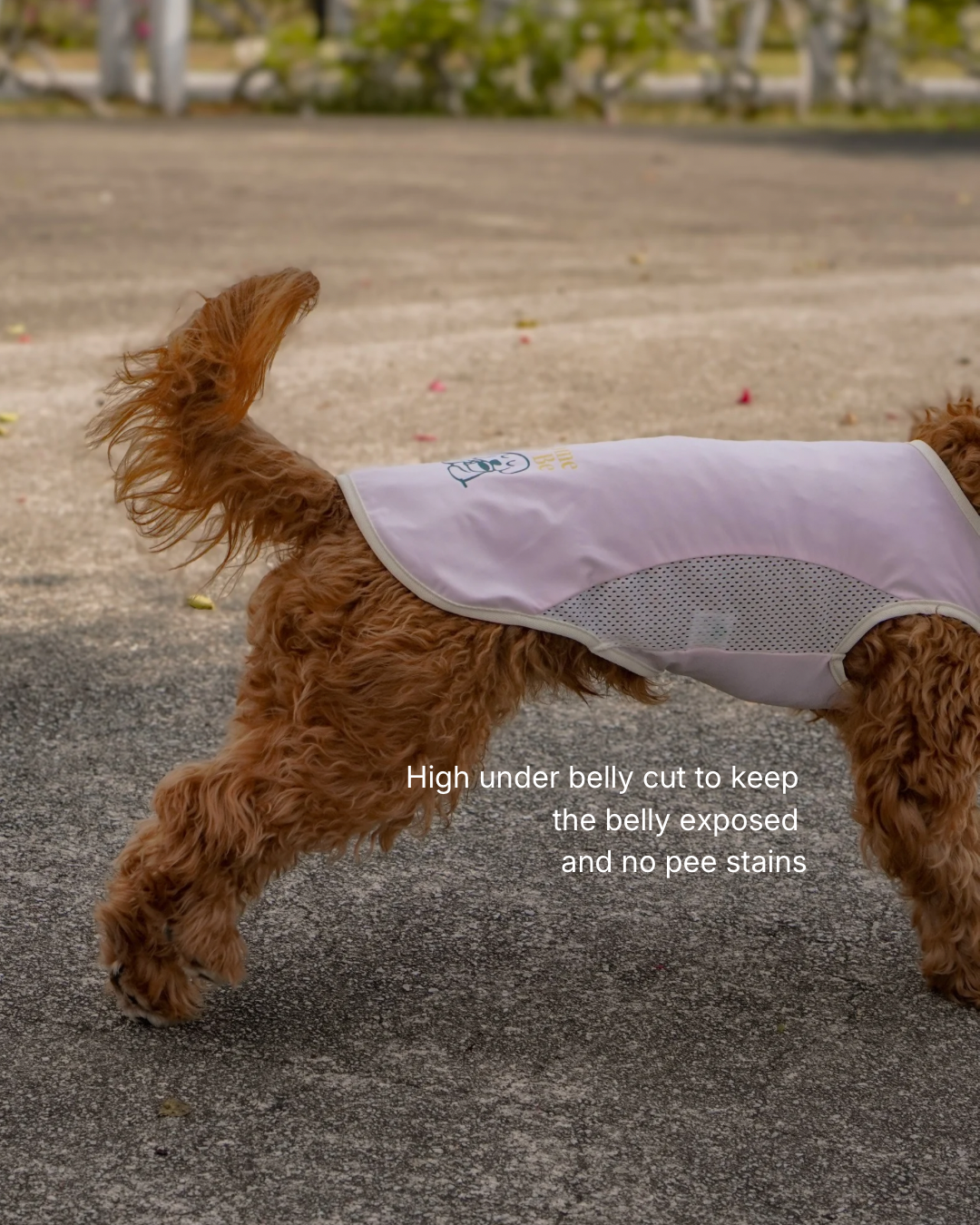 Baby Pink Cooling singlet for dogs and cats