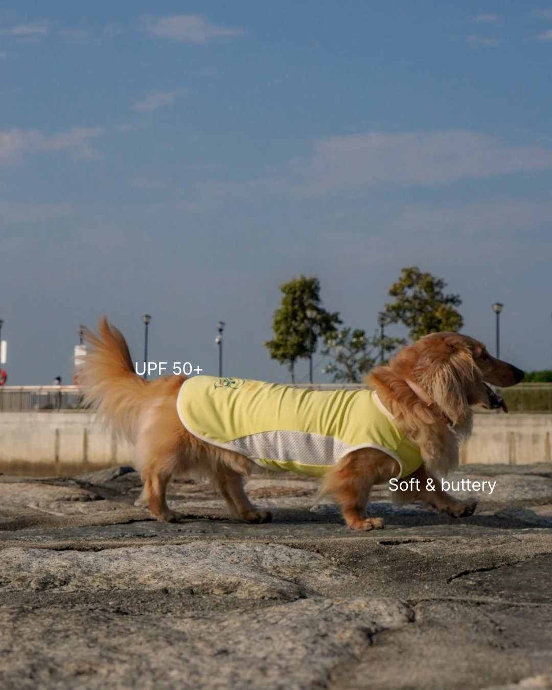 Baby Pink Cooling singlet for dogs and cats