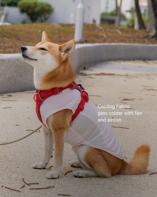 Baby Pink Cooling singlet for dogs and cats