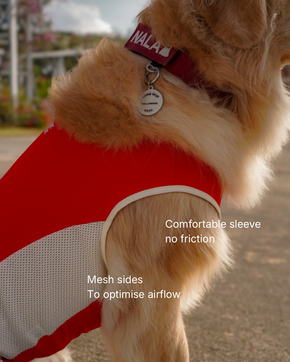 Blue cooling summer singlet for dogs and cats