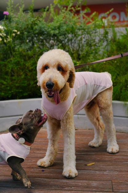 Baby Pink Cooling singlet for dogs and cats