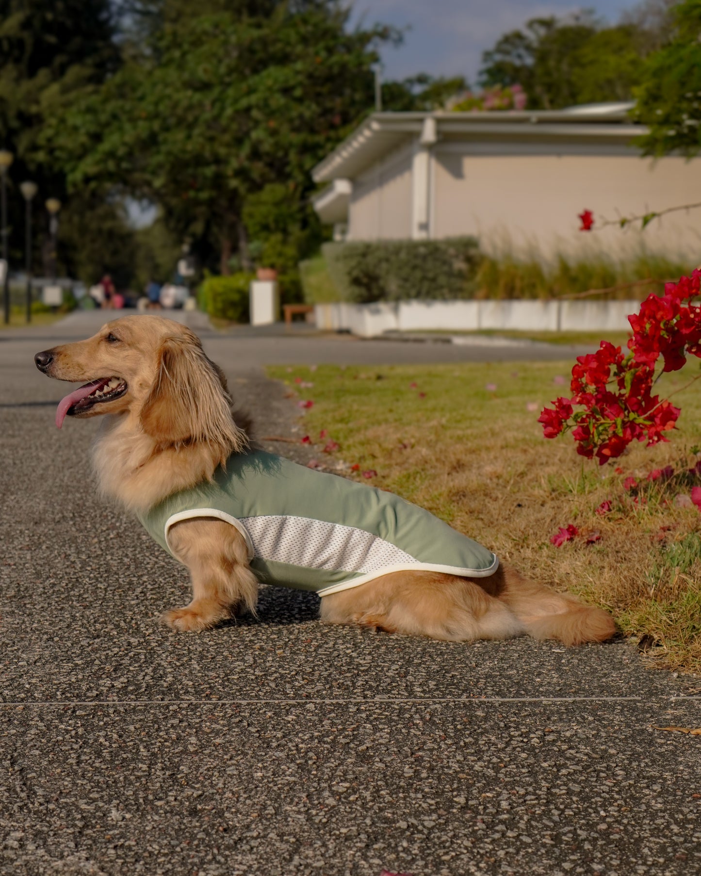 Baby Pink Cooling singlet for dogs and cats