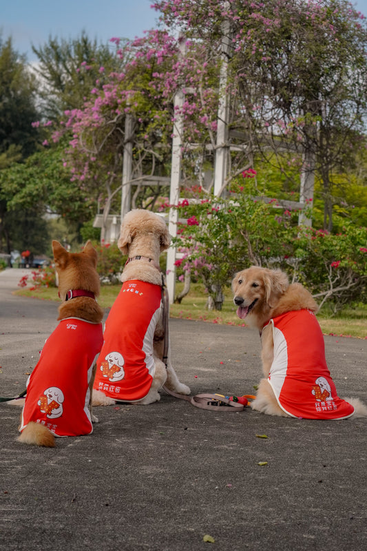 Chinese New Year Cooling singlet for dogs and cats