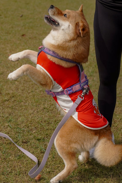Chinese New Year Cooling singlet for dogs and cats