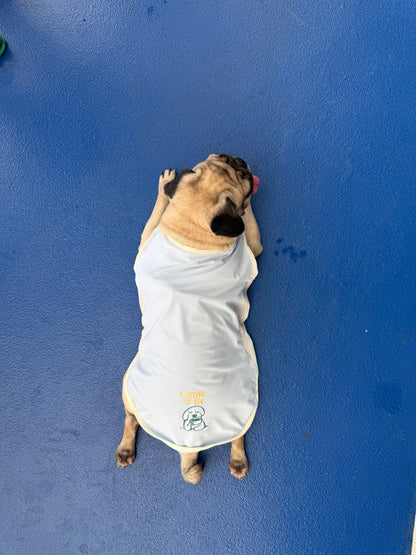 Blue cooling summer singlet for dogs and cats