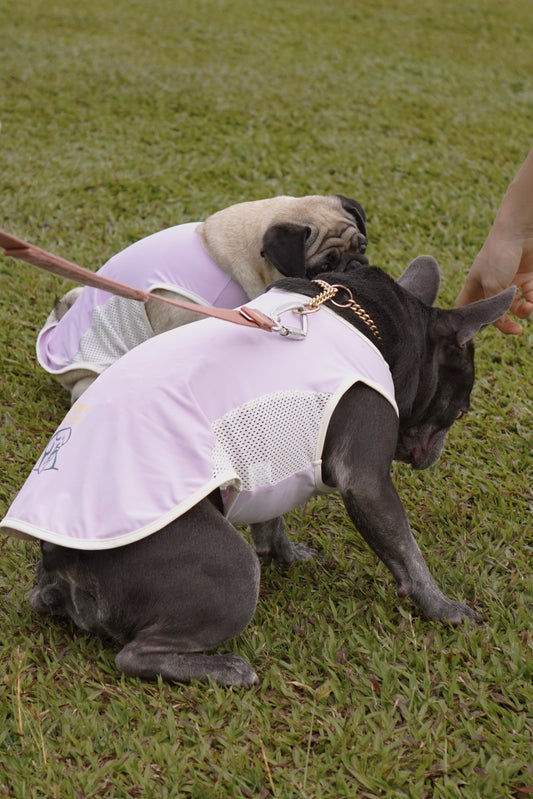 Purple cooling summer singlet for dogs and cats