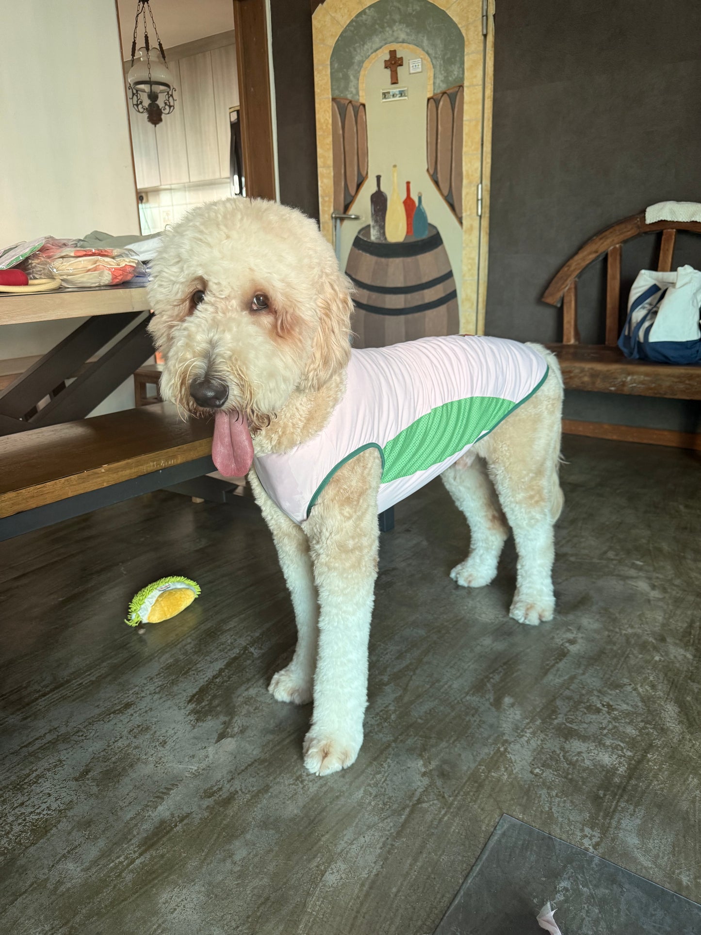 STRAWBERRY WATERMELON SWIRL COOLING SINGLET