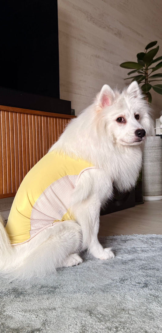 Daisy Yellow Cooling singlet for dogs and cats